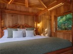 bed bed